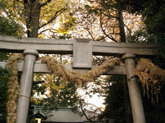 奥沢神社 / おくさわじんじゃ 